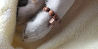 移動火葬車と火葬場の違い