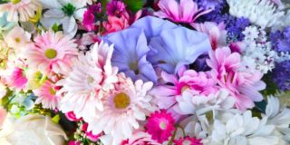 ペットが亡くなった時に添えたいお花