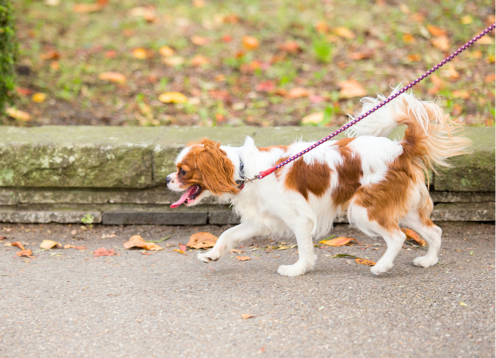 神奈川県茅ヶ崎市｜安心できる霊園を選ぶ3つの基準