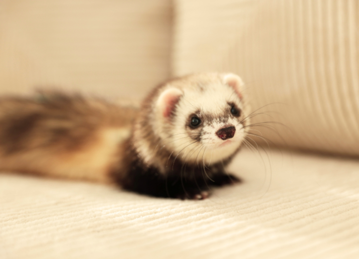 【ご家族の気持ちを大切に】火葬プランの選び方と考え方