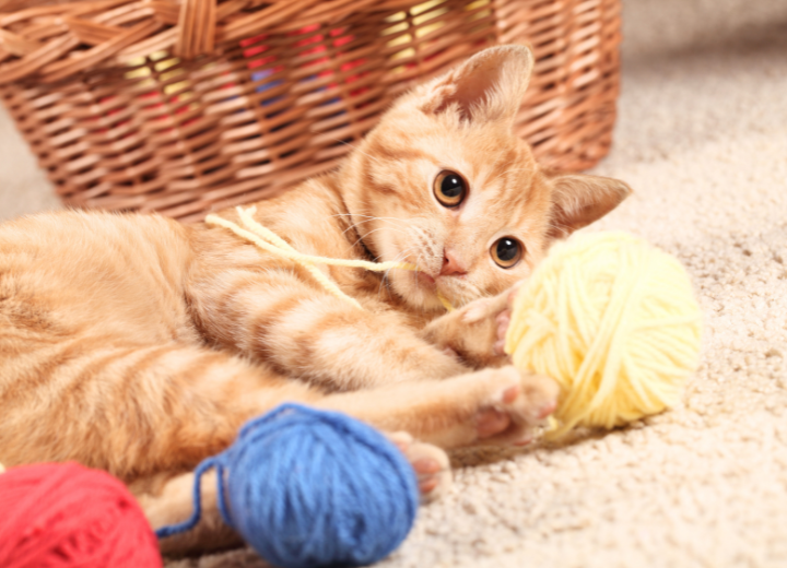 ご遺骨は手元供養か納骨か？迷ったとき