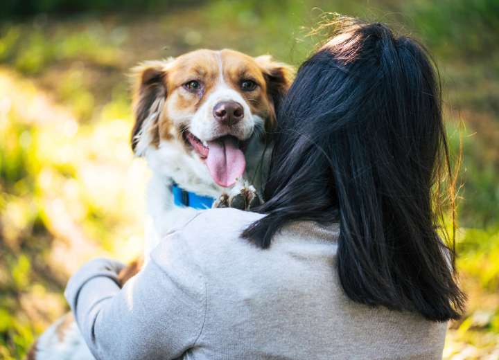 ペット葬儀の種類と流れを解説