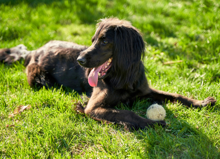 神奈川で静かに見送れる場所とは