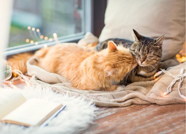 葬儀前に知っておきたい３つの話し合い