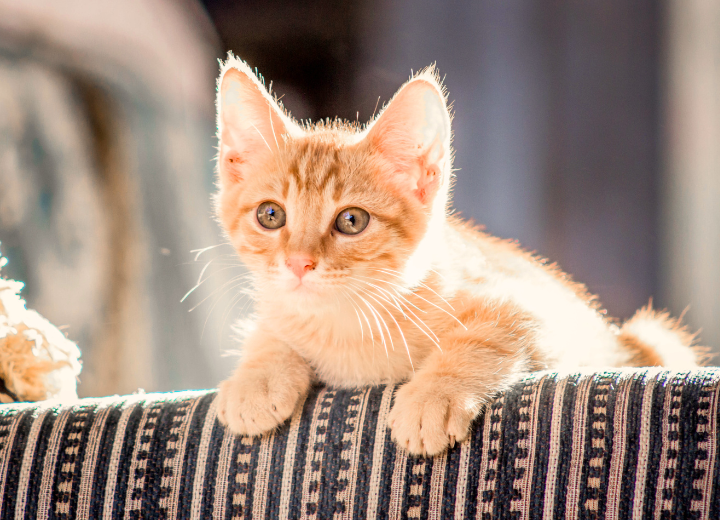 想いに寄り添う供養のかたち