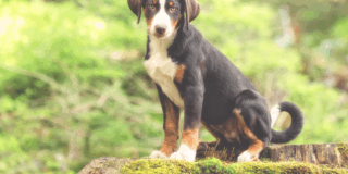 火葬だけで良い？供養は必要？迷う方へ