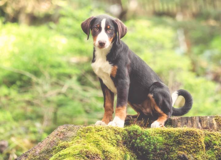 火葬だけで良い？供養は必要？迷う方へ