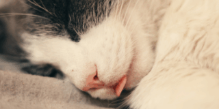 納骨はいつ？悩んだときのヒント